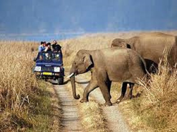 Nainital Corbett Tour Package
